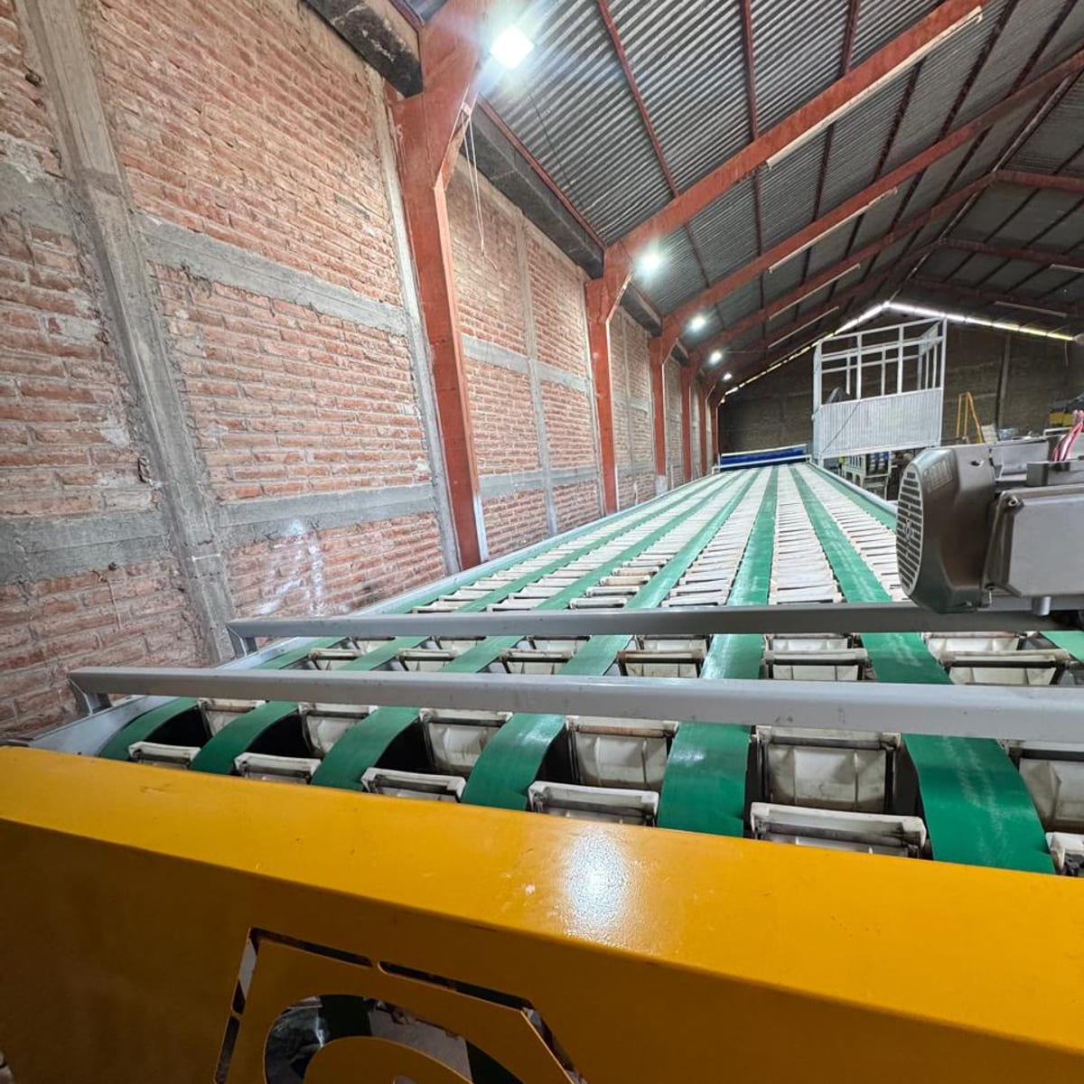 Clasificadora 6 líneas x 12 salidas (mango, chile morrón, aguacate)
