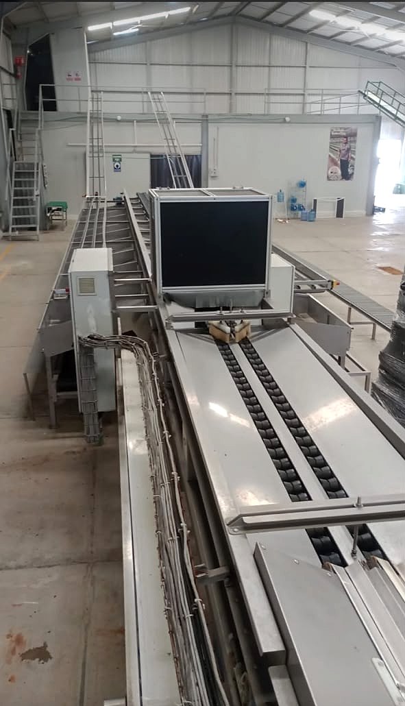 Clasificadora Meganics en inoxidable — 2 líneas x 18 salidas